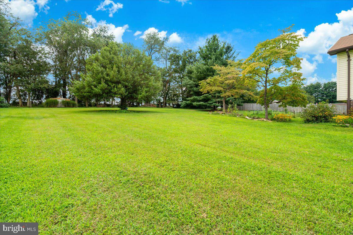 10225 Allview Dr Property Photo 38