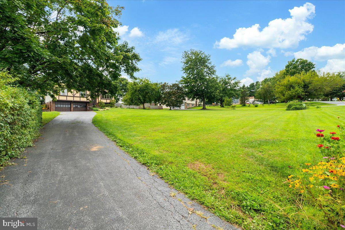 10225 Allview Dr Property Photo 39
