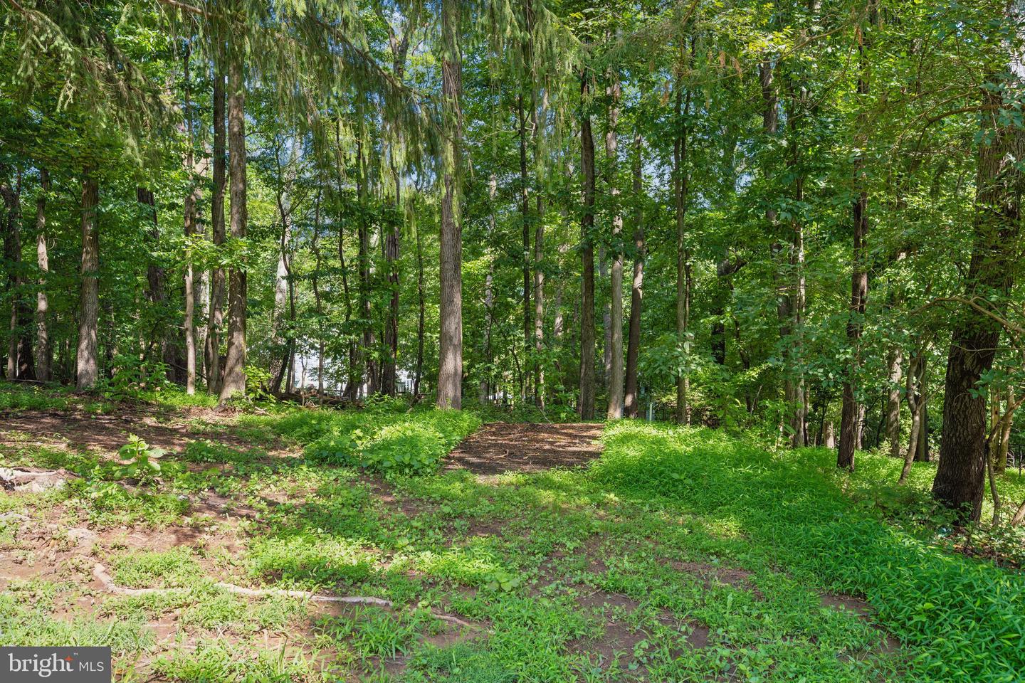 4946 Tall Oaks Dr Property Photo 68