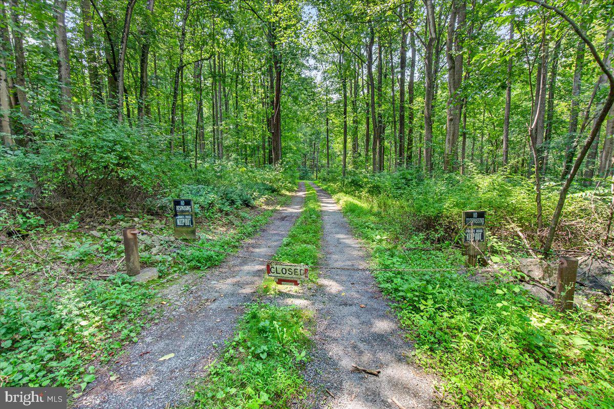 MDFR2086990 Property Photo 2
