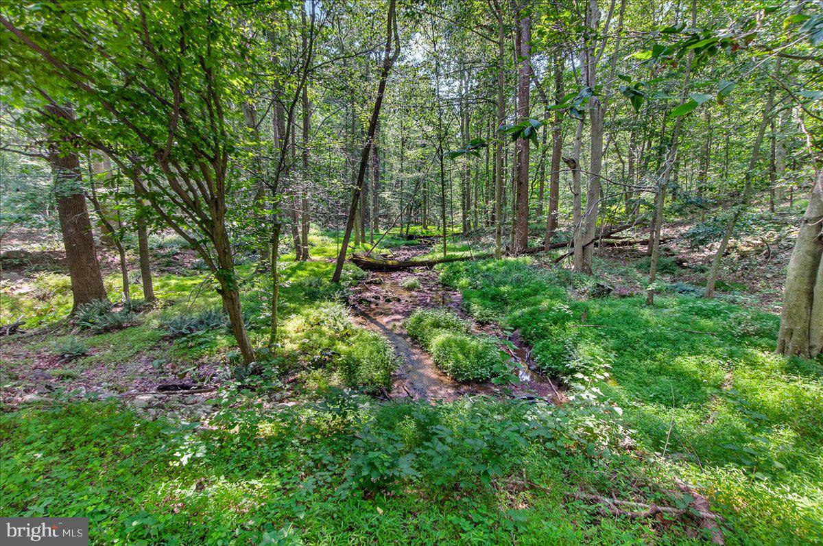 MDFR2086990 Property Photo 4