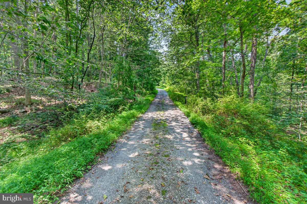 MDFR2086990 Property Photo 5