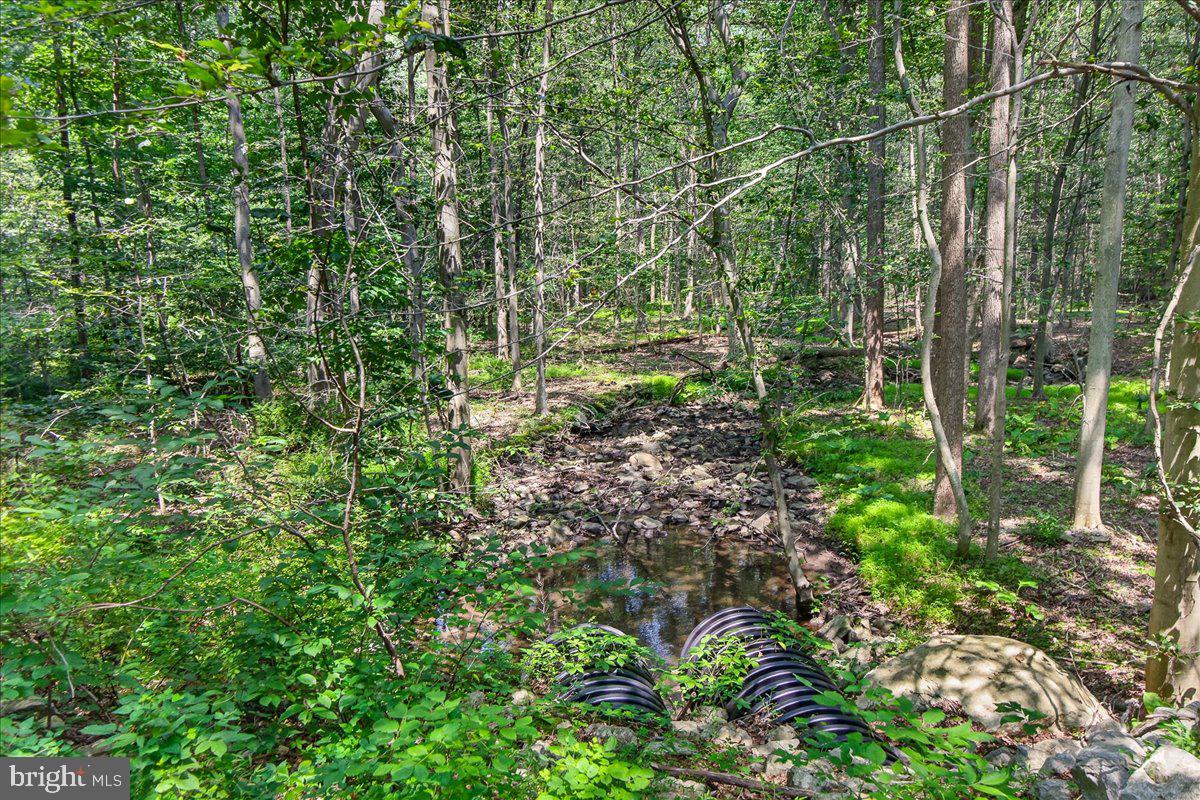 MDFR2086990 Property Photo 6