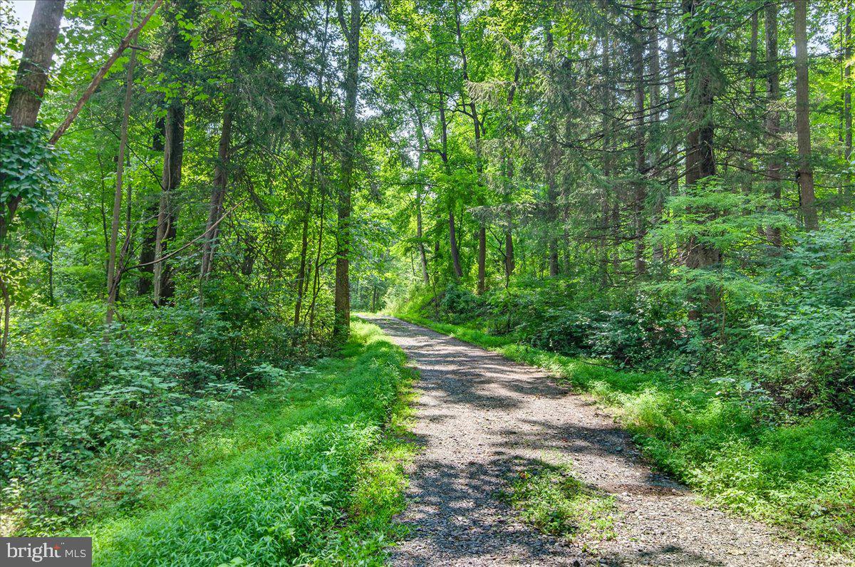 MDFR2086990 Property Photo 7