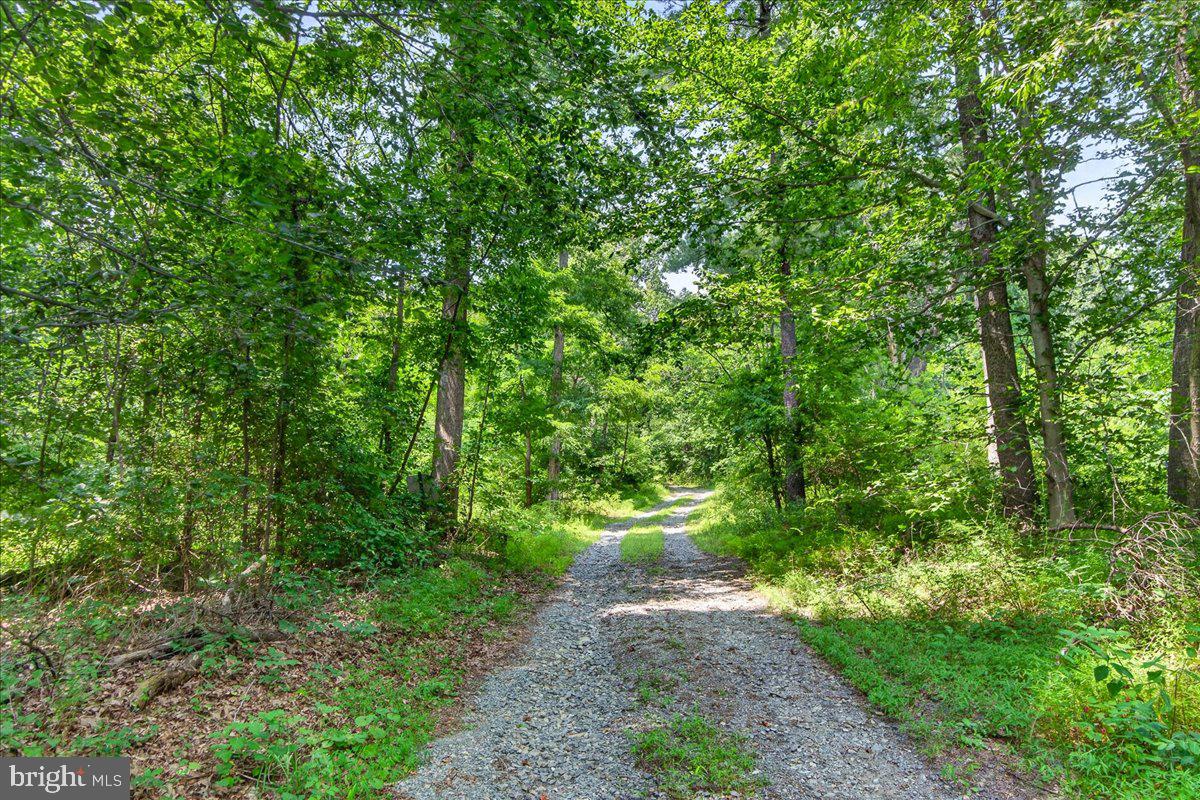 MDFR2086990 Property Photo 8