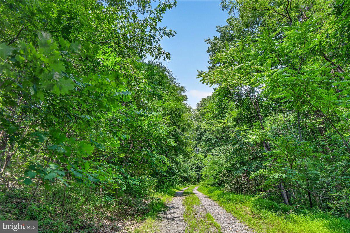 MDFR2086990 Property Photo 9