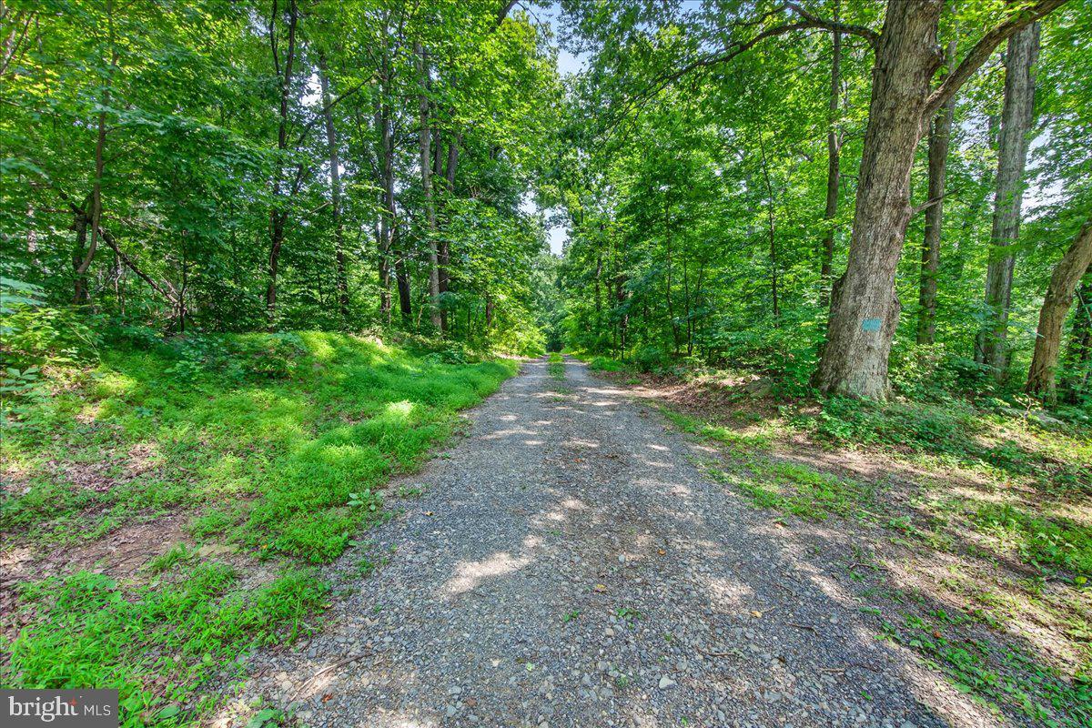 MDFR2086990 Property Photo 11