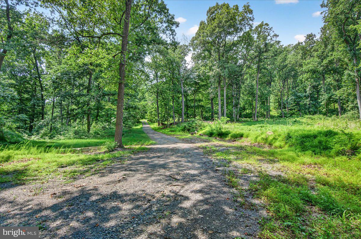 MDFR2086990 Property Photo 12