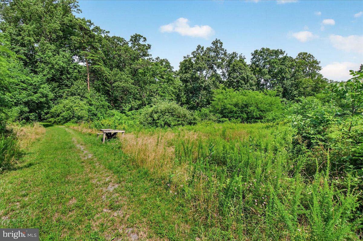 MDFR2086990 Property Photo 45
