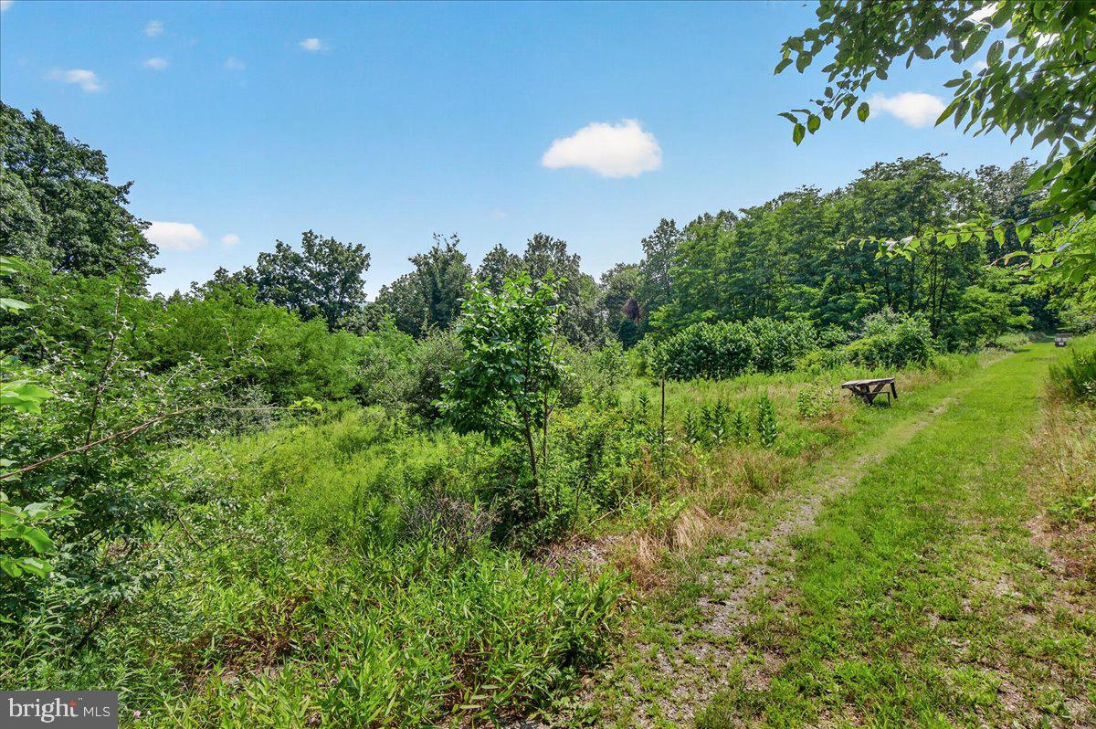 MDFR2086990 Property Photo 47