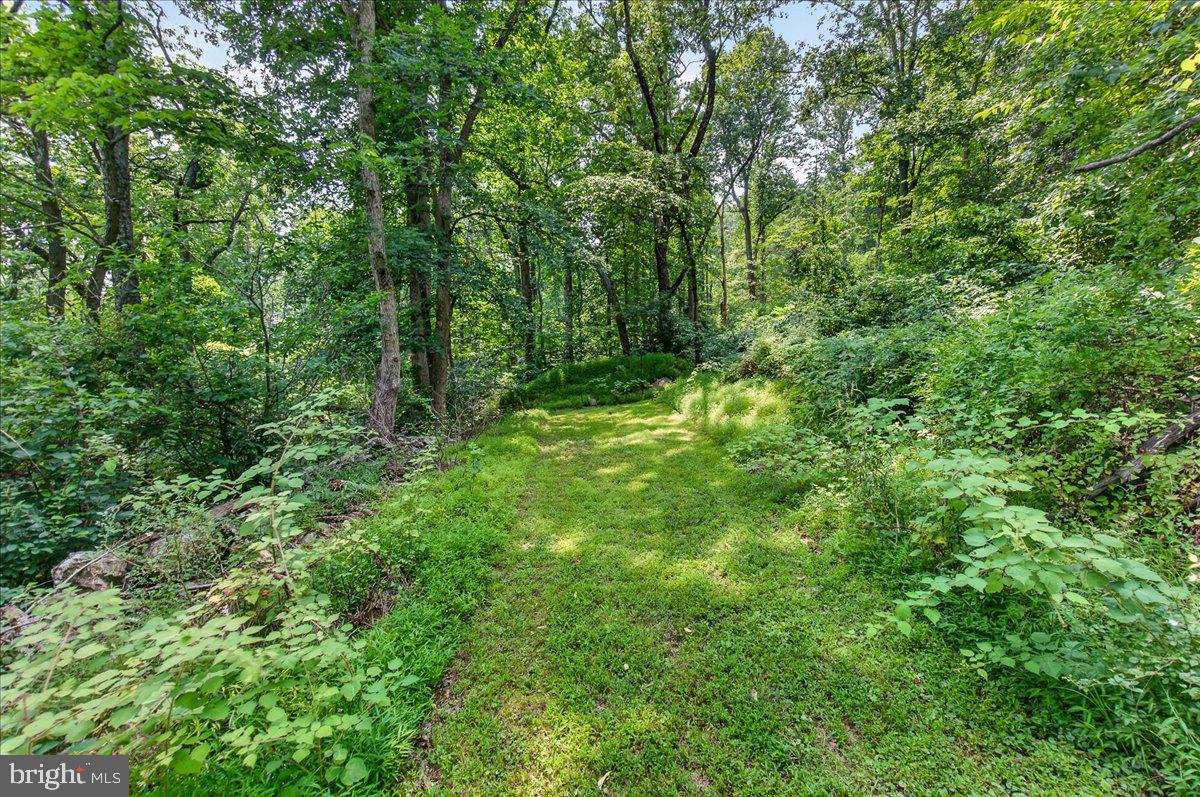 MDFR2086990 Property Photo 78