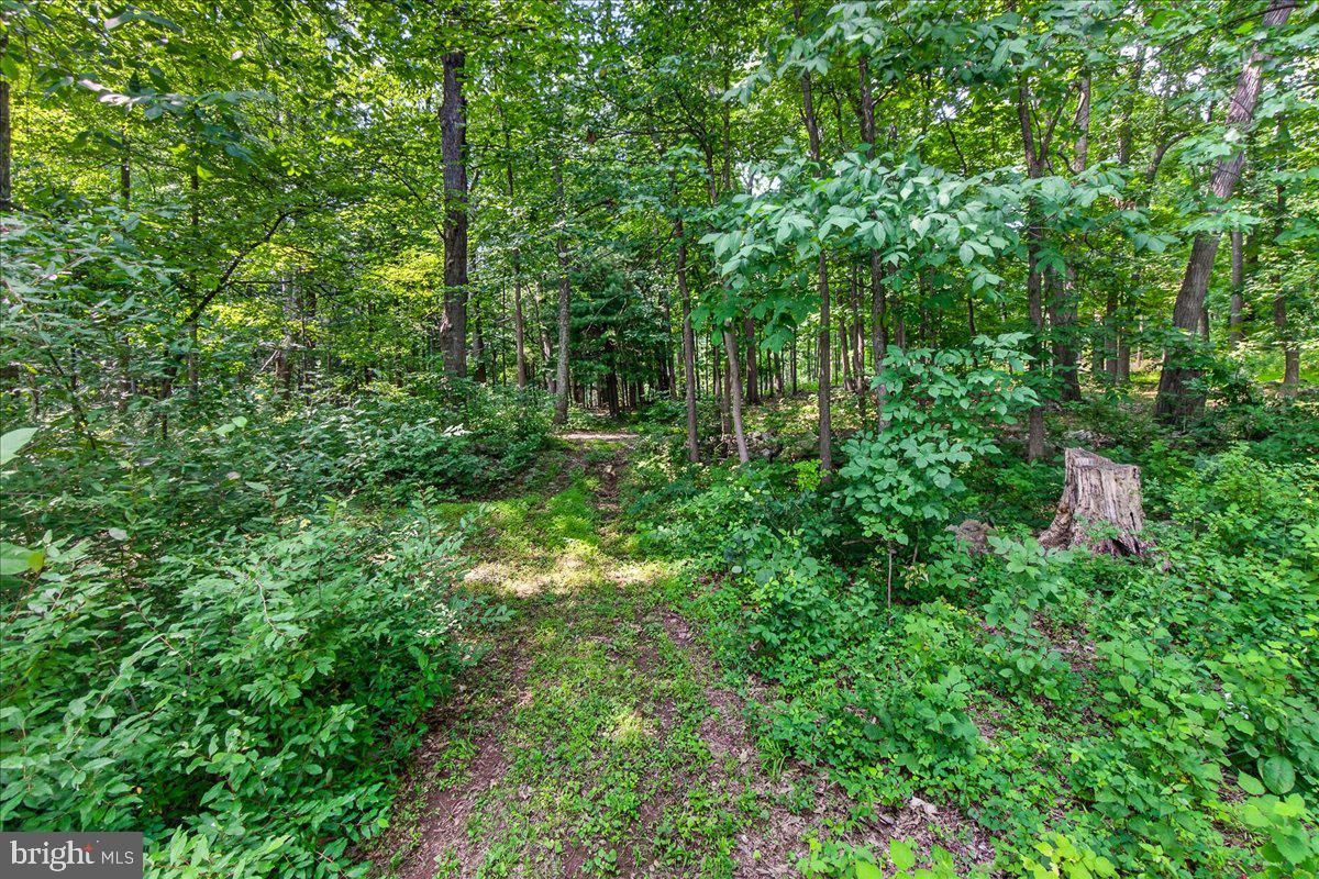 MDFR2086990 Property Photo 85