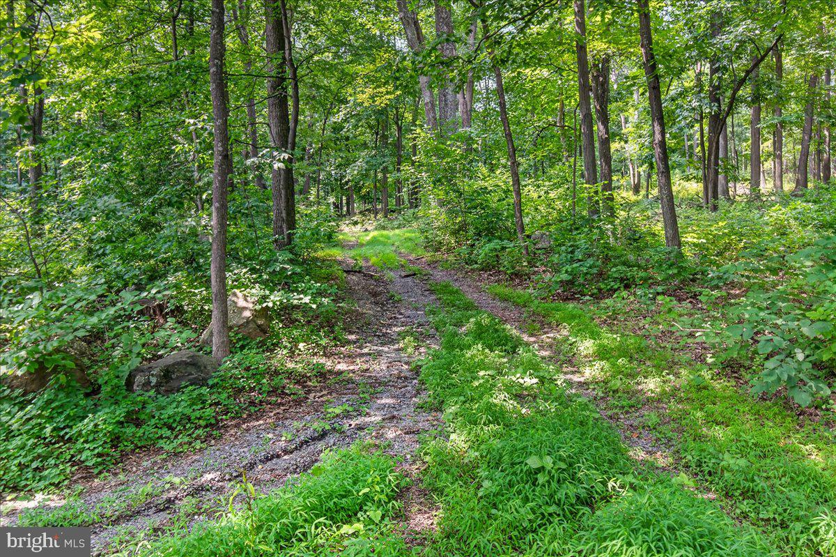 MDFR2086990 Property Photo 86