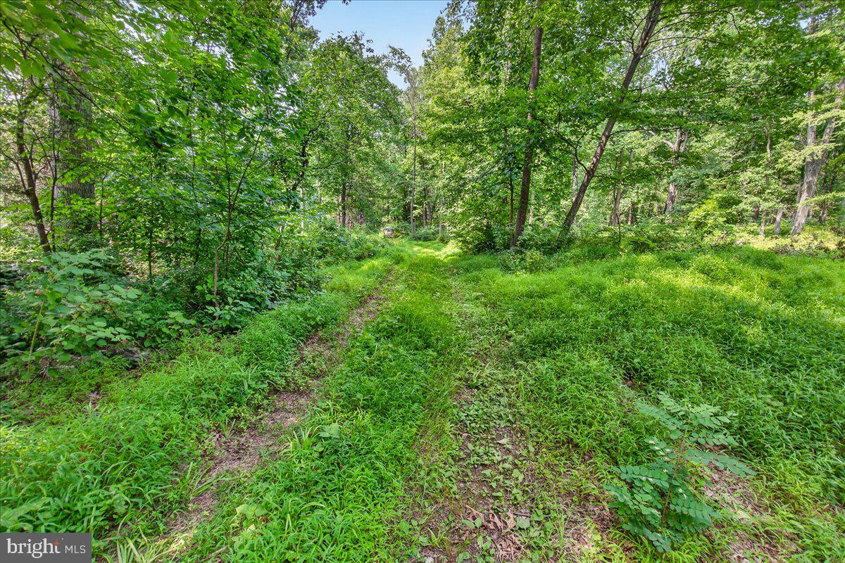 MDFR2086990 Property Photo 87