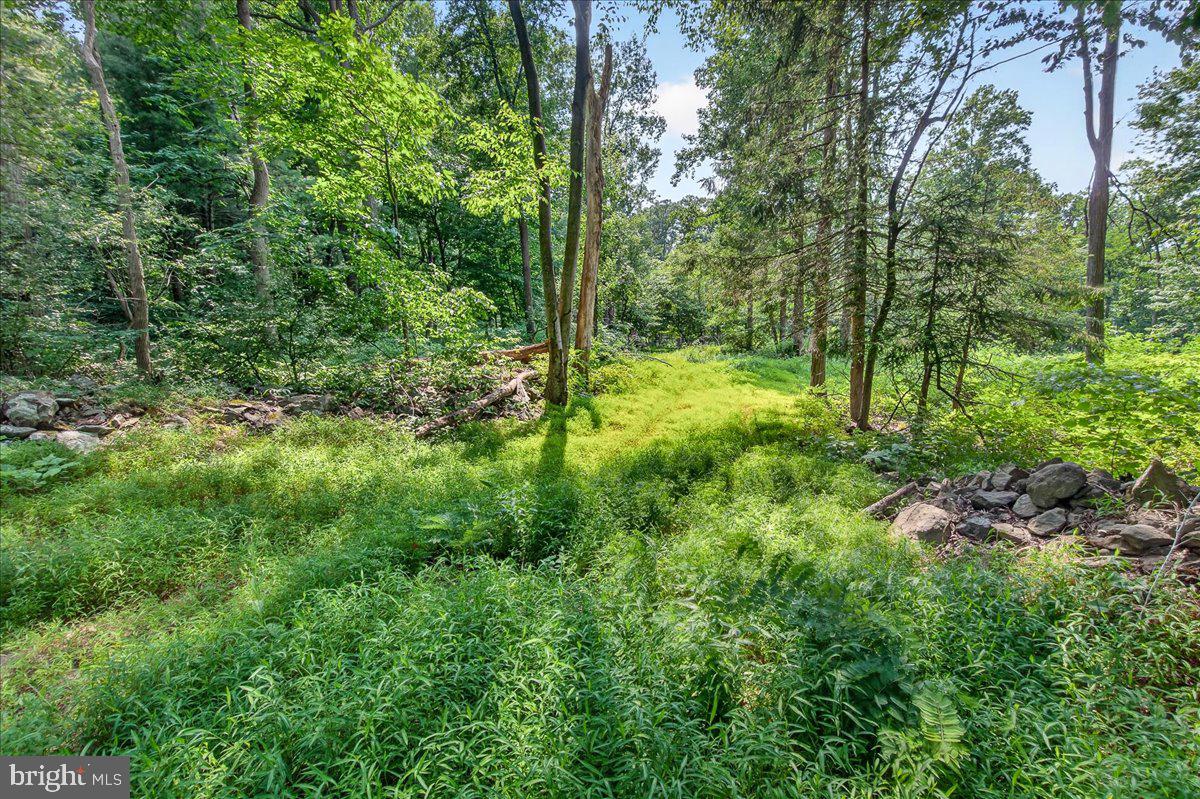 MDFR2086990 Property Photo 88
