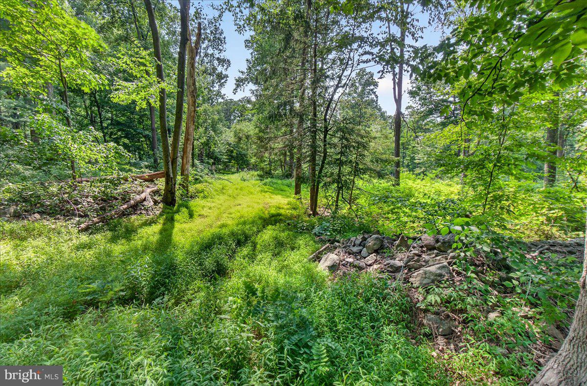 MDFR2086990 Property Photo 89