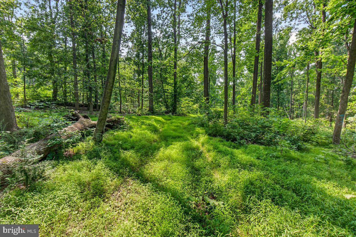 MDFR2086990 Property Photo 90
