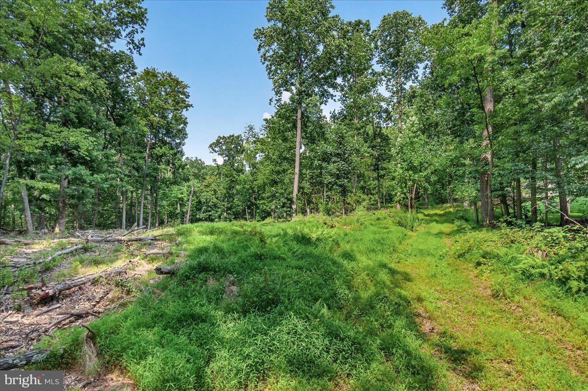 MDFR2086990 Property Photo 93