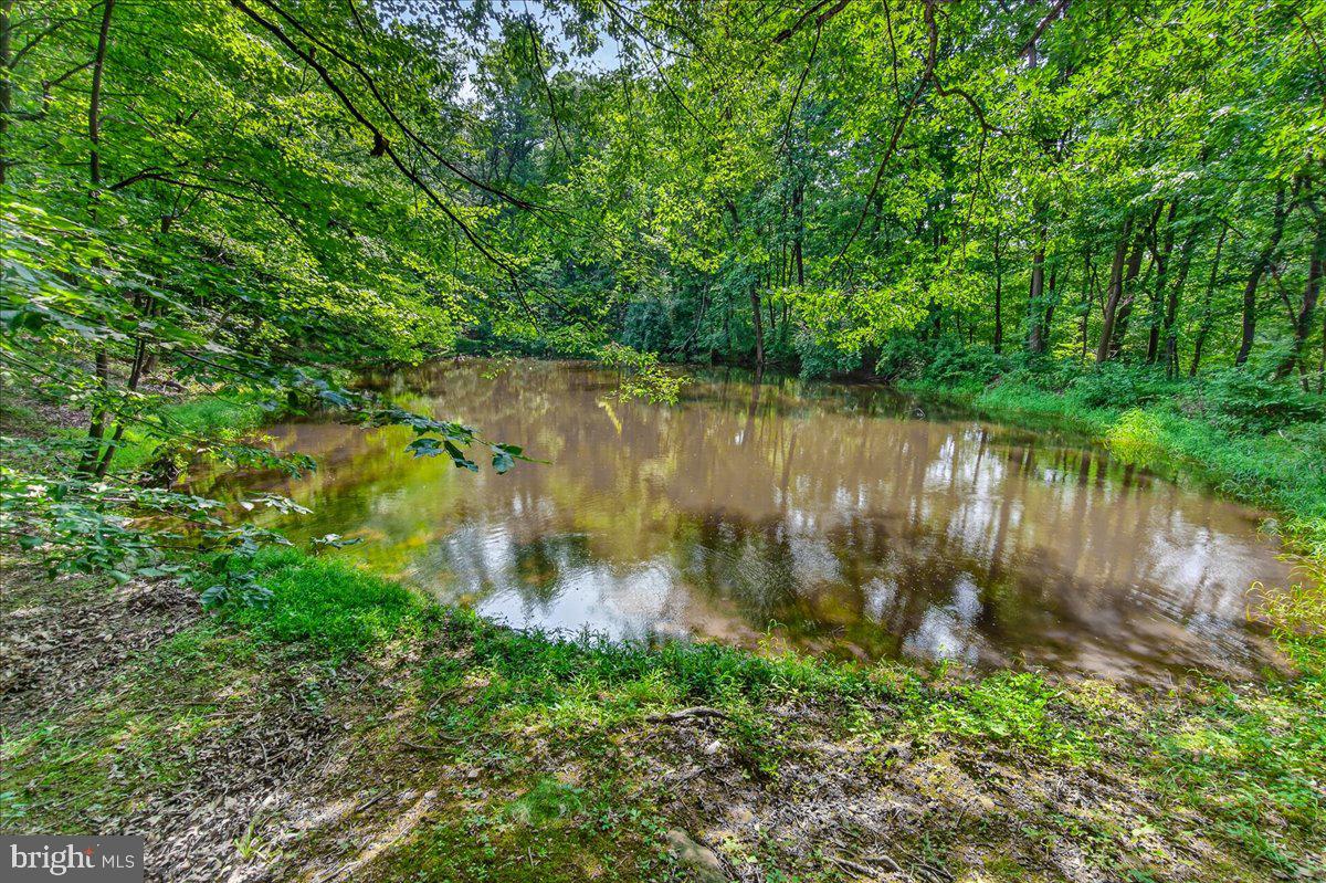 MDFR2086990 Property Photo 96