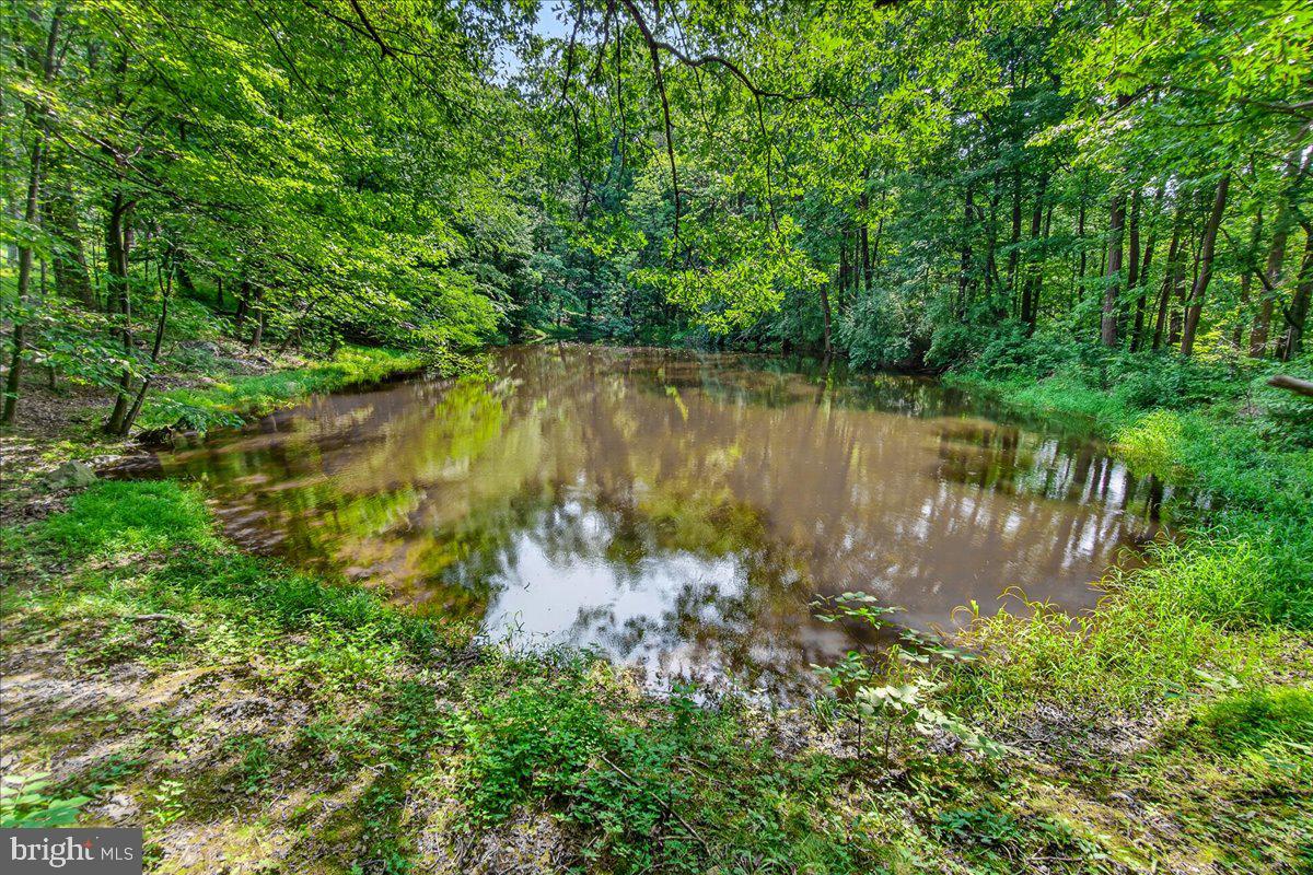 MDFR2086990 Property Photo 97