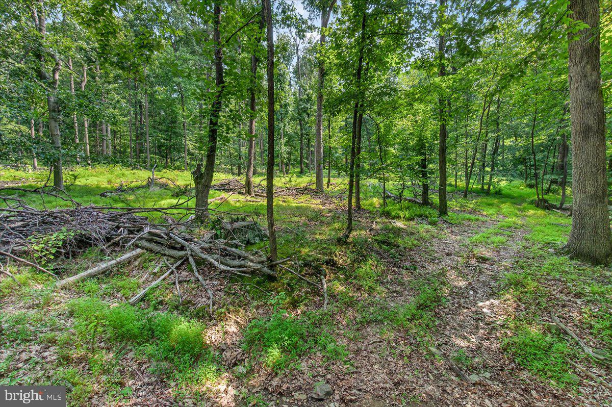 MDFR2086990 Property Photo 99