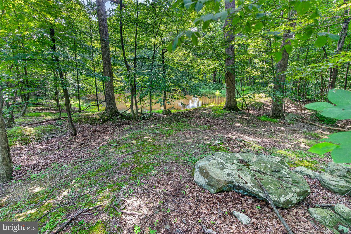 MDFR2086990 Property Photo 100