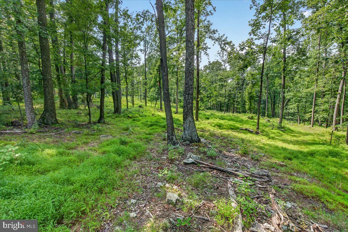 MDFR2086990 Property Photo 101
