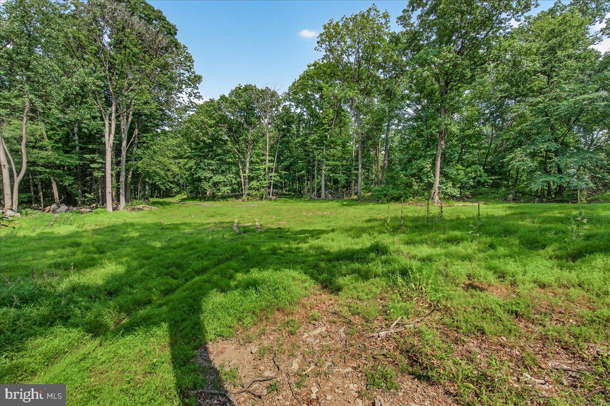 MDFR2086990 Property Photo 103