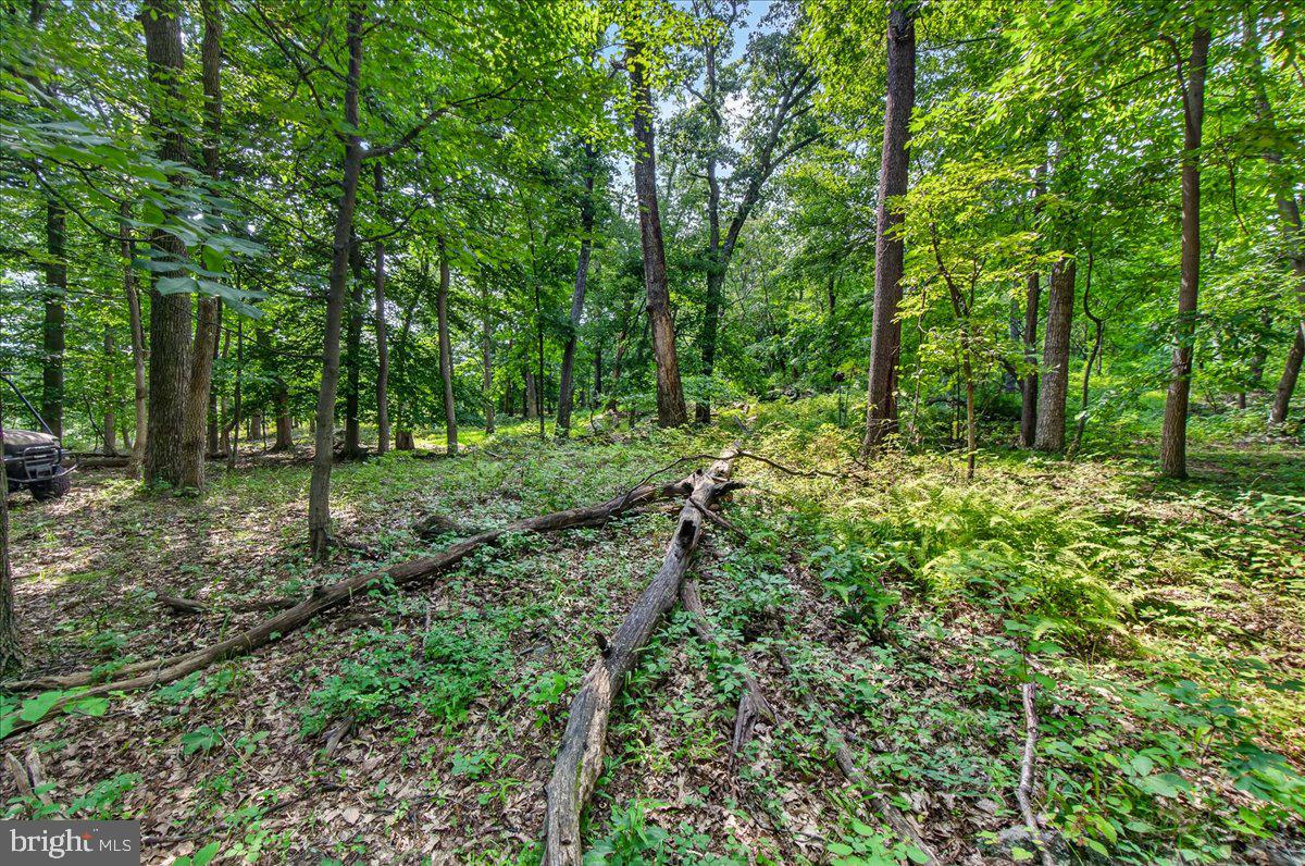 MDFR2086990 Property Photo 104