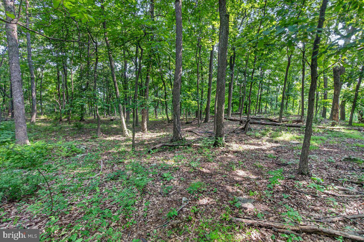 MDFR2086990 Property Photo 105