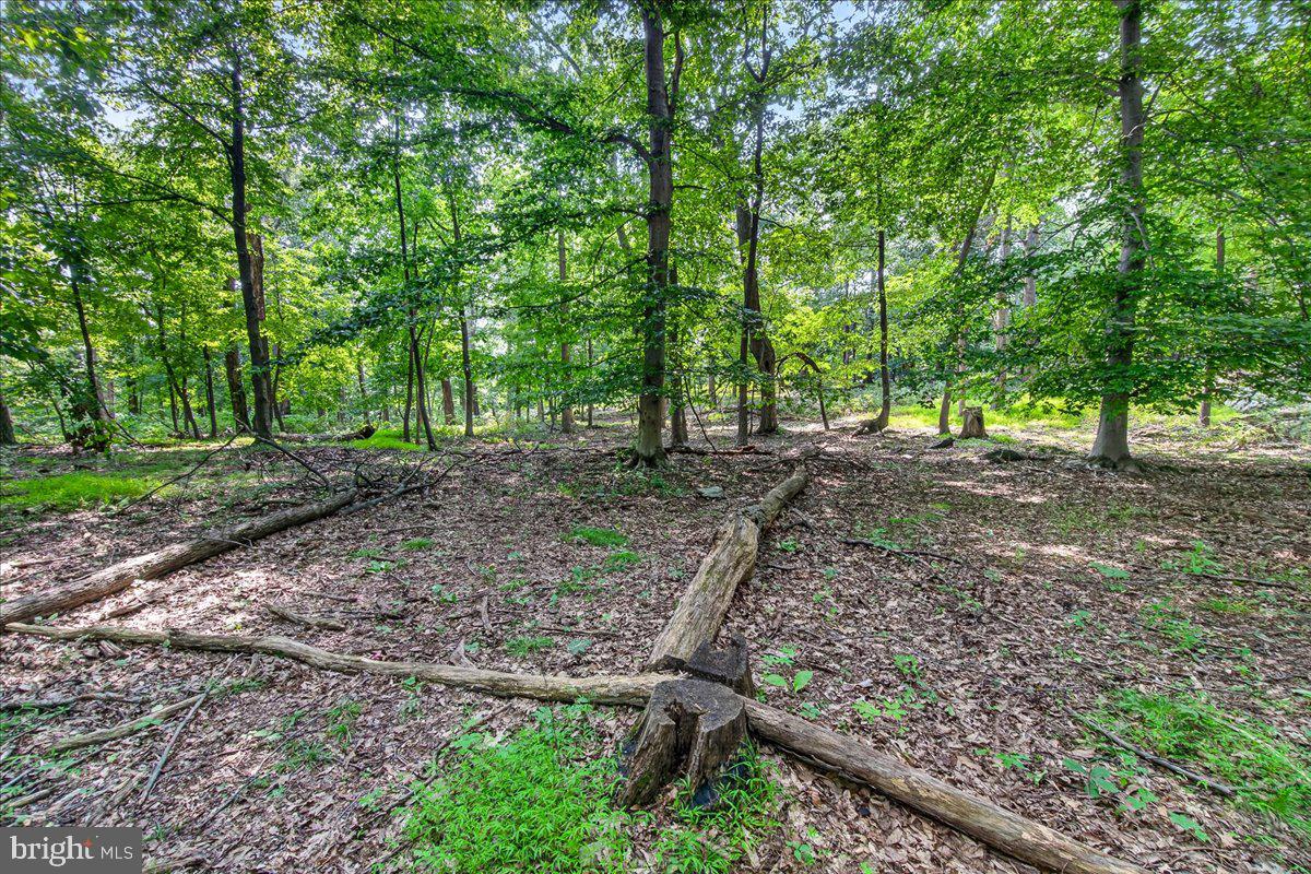 MDFR2086990 Property Photo 106
