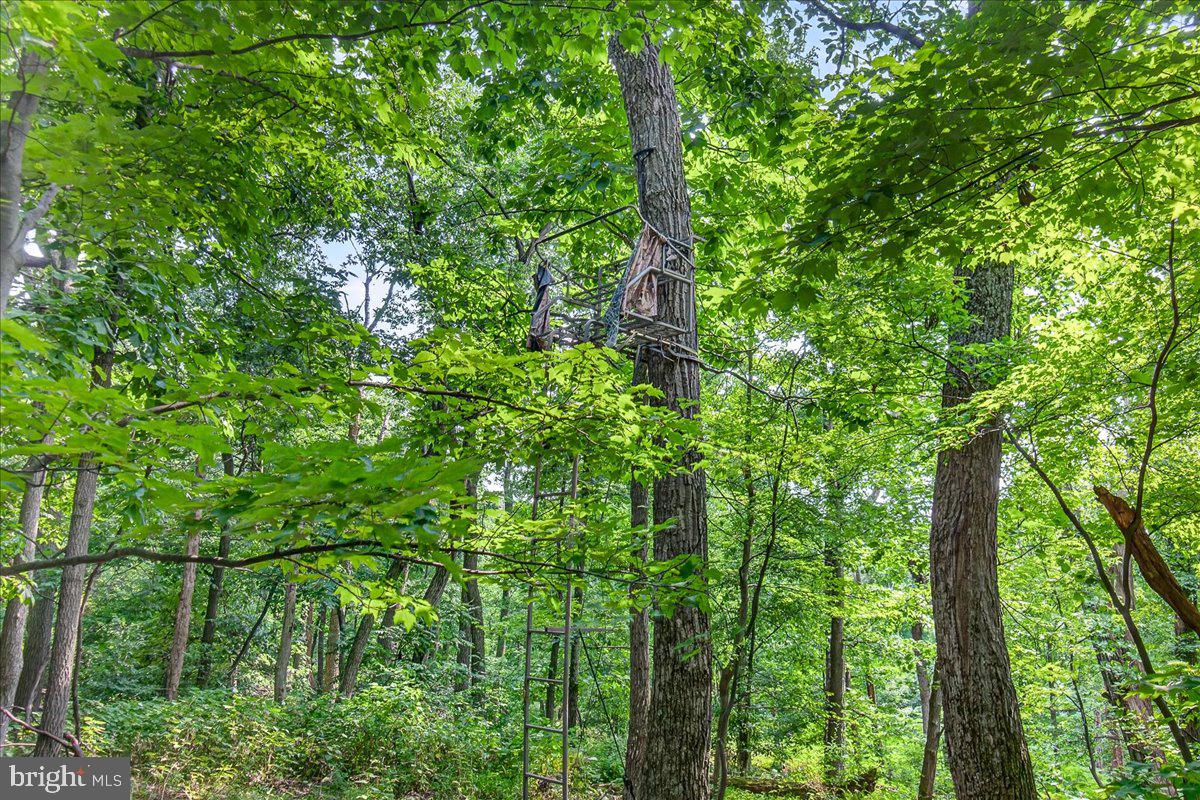 MDFR2086990 Property Photo 107