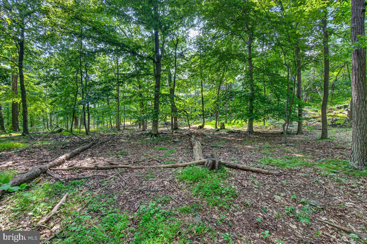 MDFR2086990 Property Photo 109