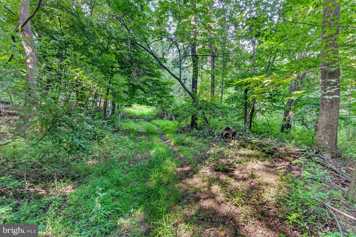MDFR2086990 Property Photo 110
