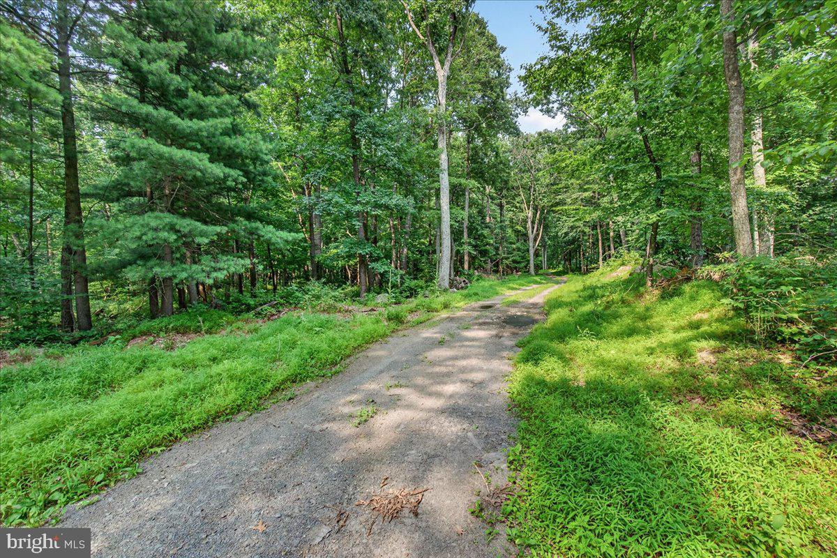 MDFR2086990 Property Photo 113