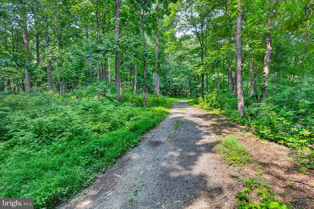 MDFR2086990 Property Photo 115
