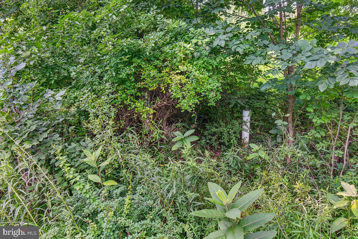 MDFR2086990 Property Photo 117