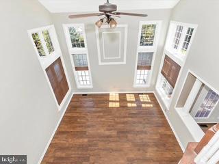 1713 Dearbought Drive Property Photo 19