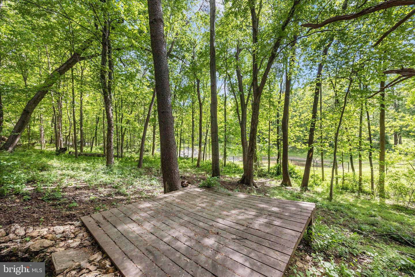 4109 Cove Ct Property Photo 53