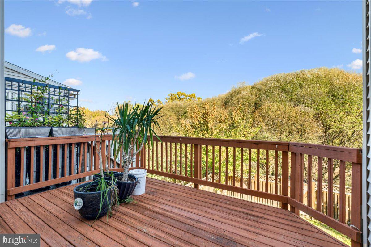 2442 Rippling Brook Rd Property Photo 20