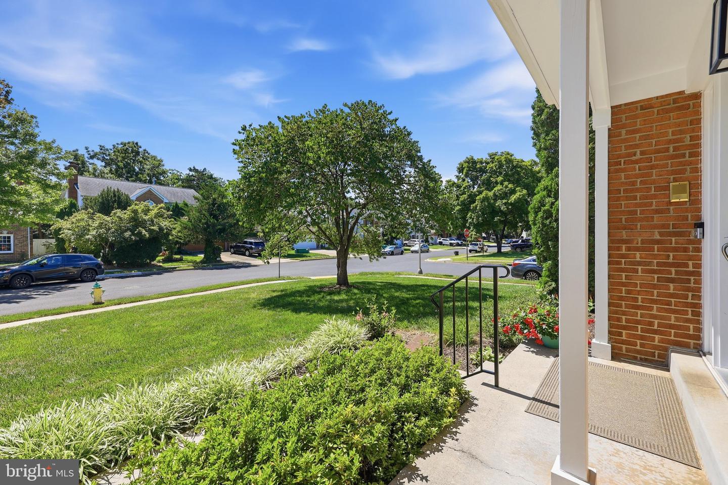 1019 Chinaberry Dr Property Photo 3