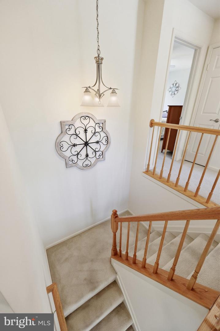 1019 Chinaberry Dr Property Photo 37