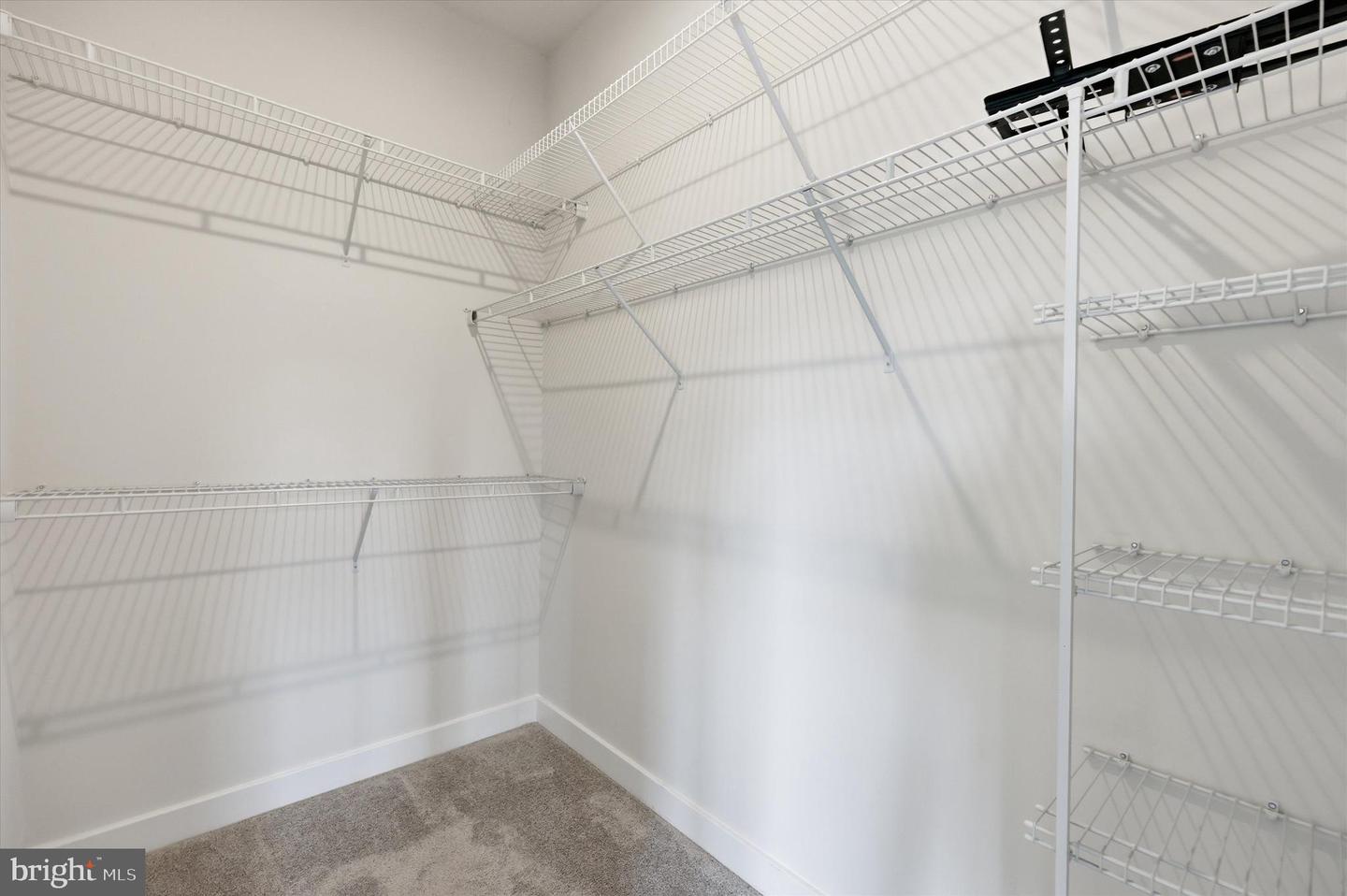 10261 Quillback St Property Photo 22