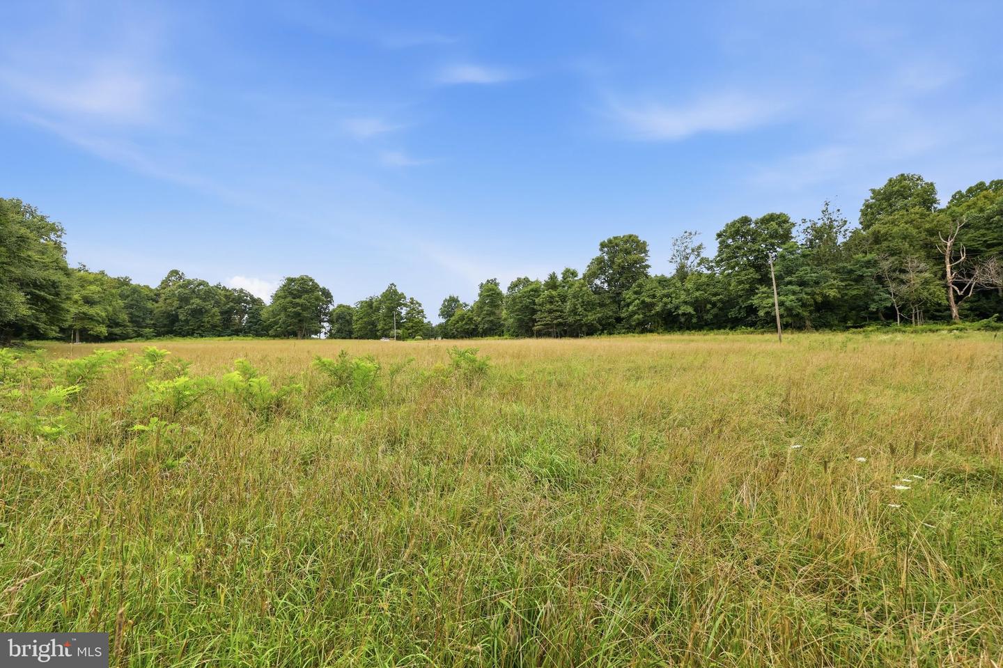 14417 Ridenour Rd Property Photo 31