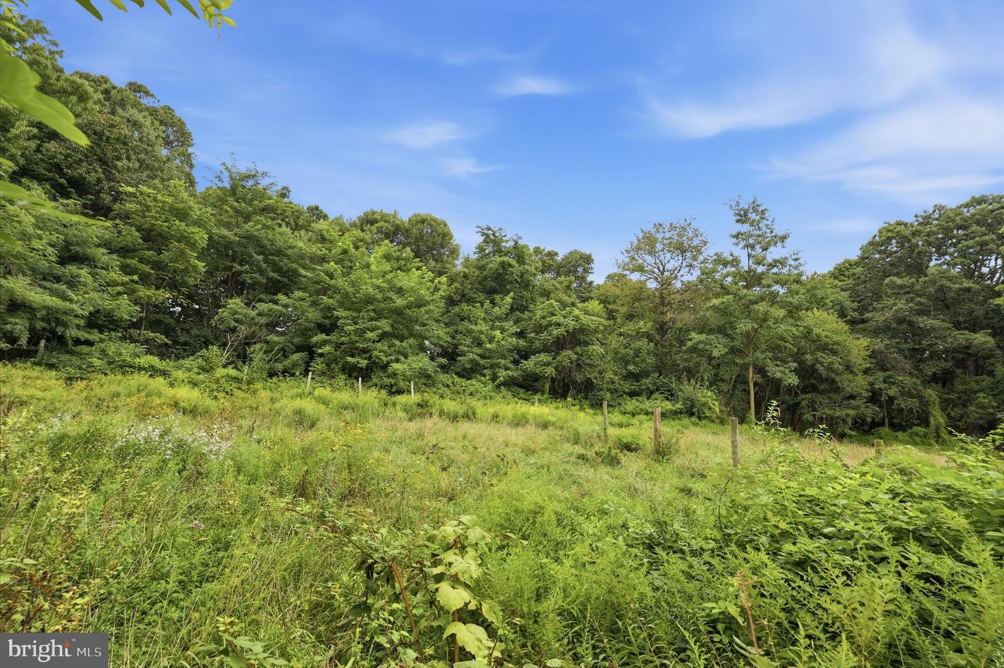 14417 Ridenour Rd Property Photo 40