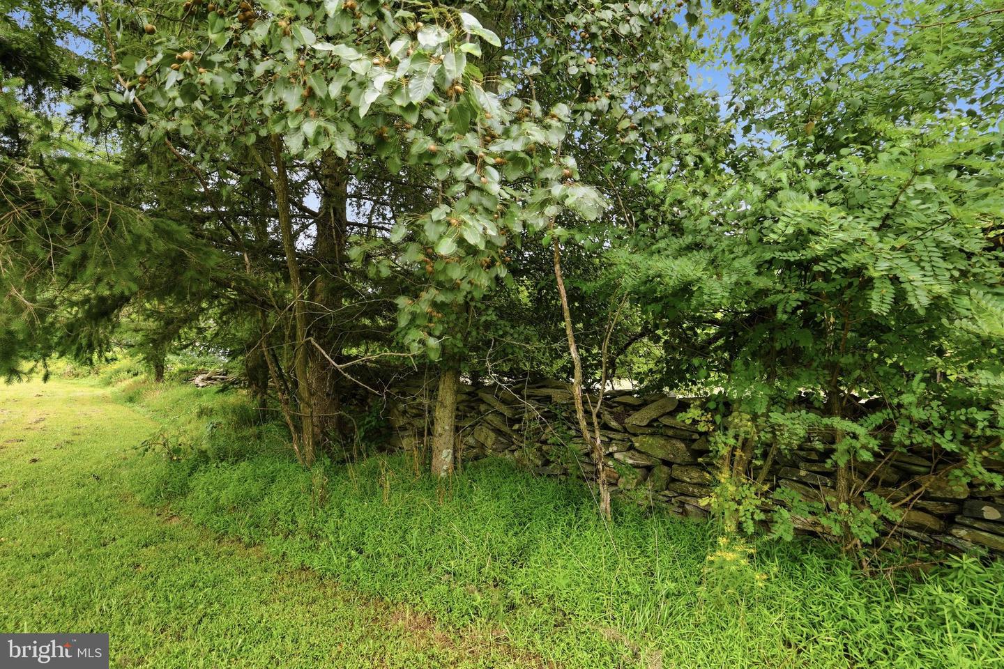 14417 Ridenour Rd Property Photo 41