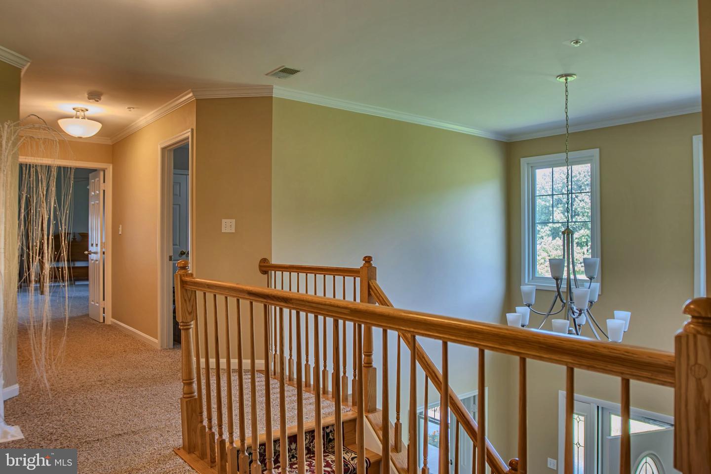 409 Copper Oaks Pl Property Photo 18