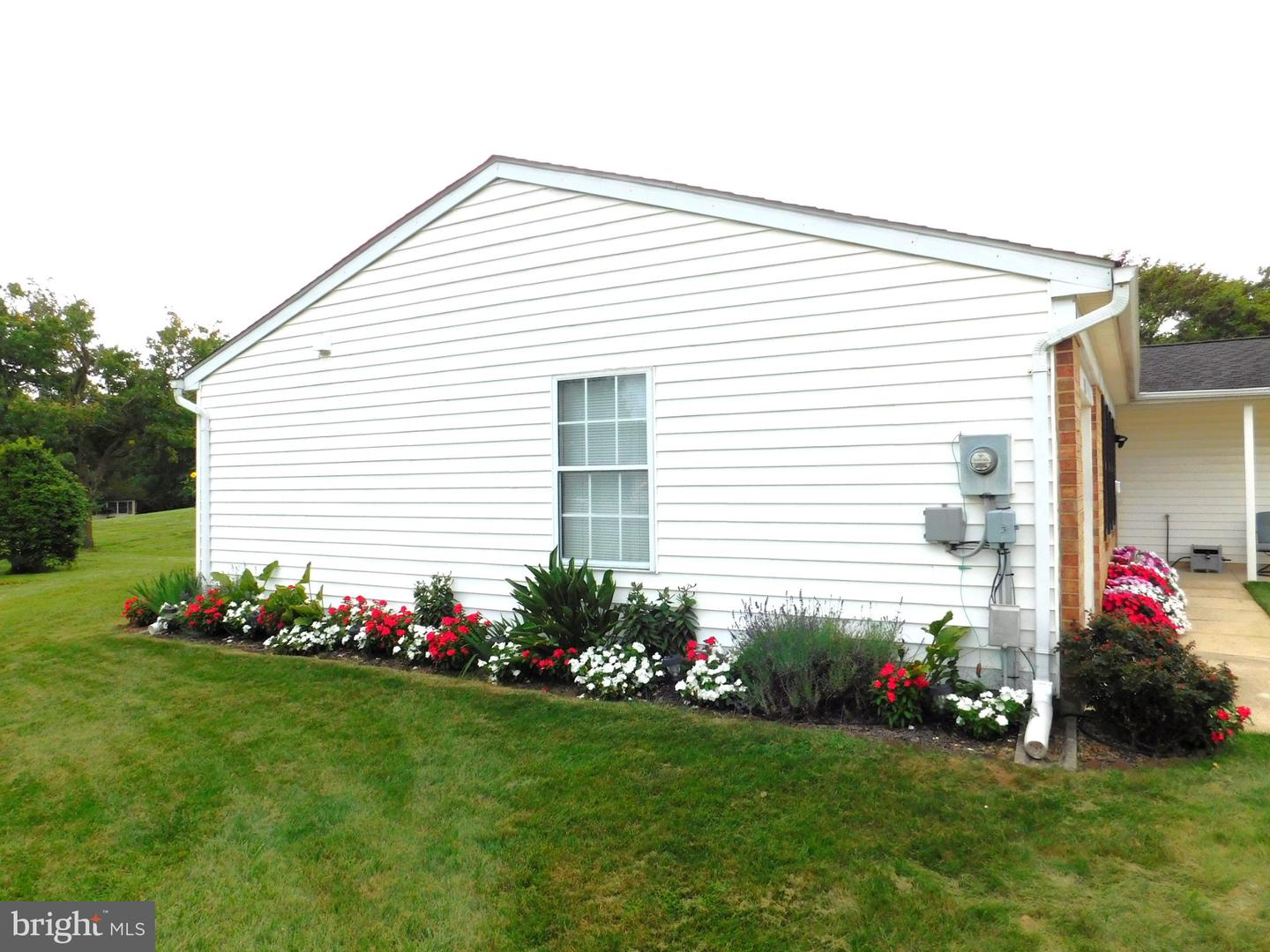 6853 Buckthorn Ct Property Photo 8