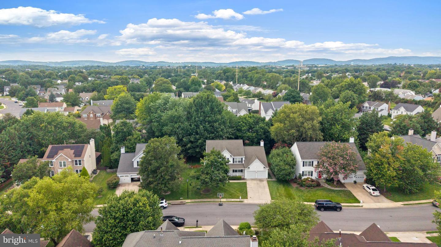 7014 Allington Manor Cir E Property Photo 62