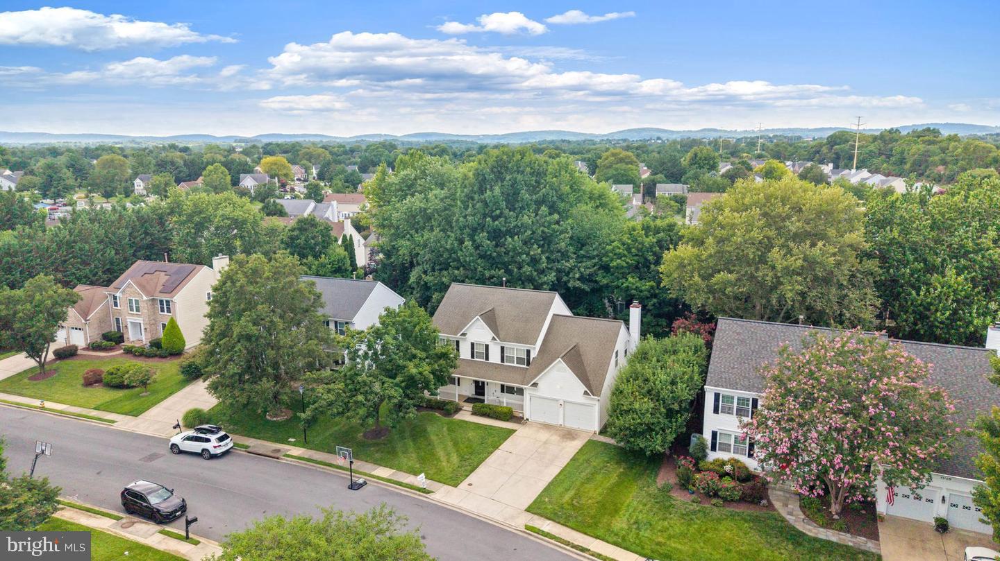 7014 Allington Manor Cir E Property Photo 66